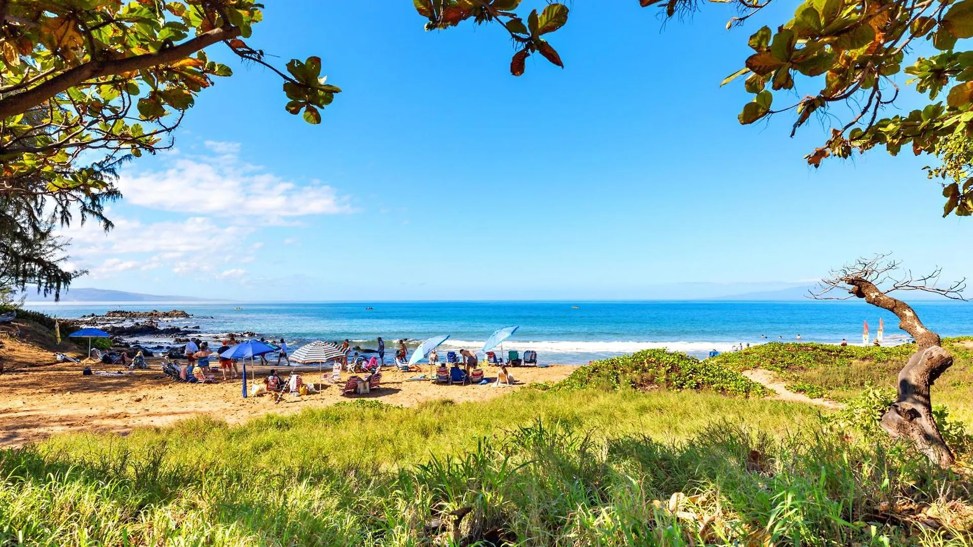 Maui Banyan H408 Villa Wailea